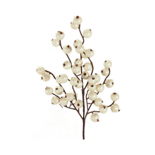 Tige de pommettes mélangées ivoire 12"