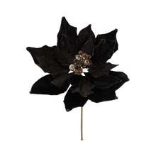Tige de poinsettia en velours pailleté de luxe chocolat 20"