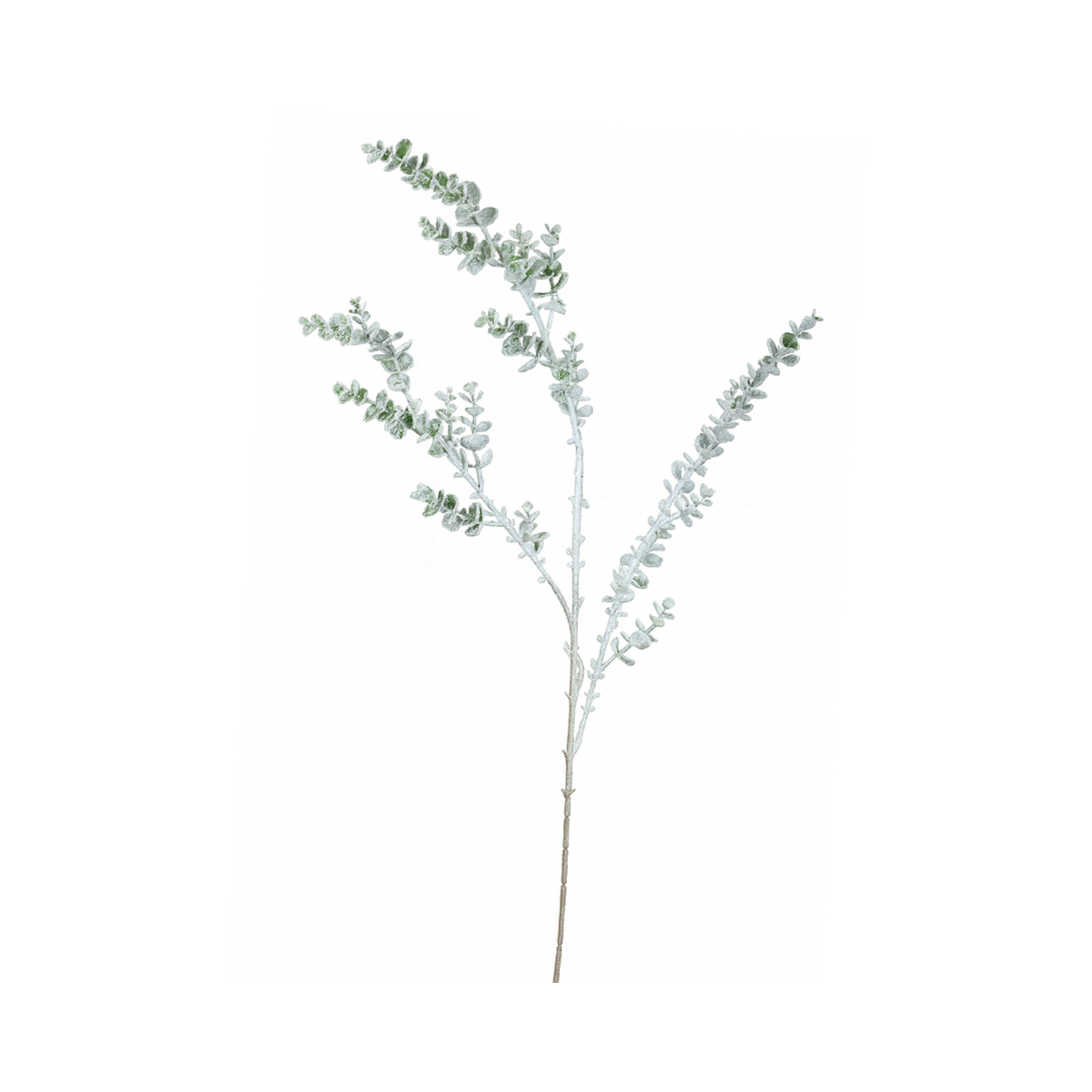 Branche Eucalyptus Enneigé Vert/Blanc 39"