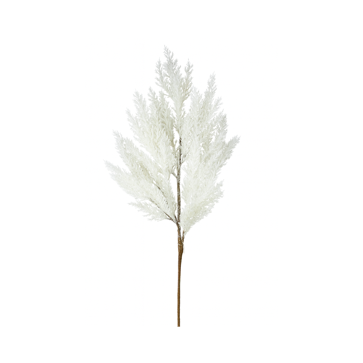 Tige de cèdre crème 30"