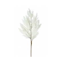 Tige de cèdre crème 30"