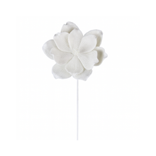 Tige de magnolia ivoire 22"