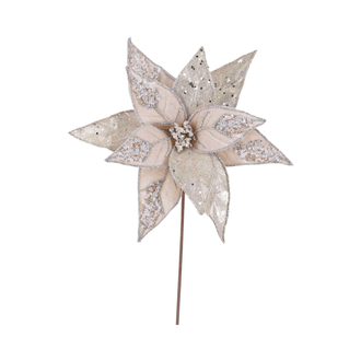 Tige de poinsettia bijou/velours champagne 20"