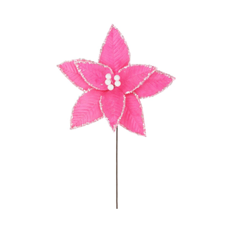 Tige de poinsettia "sherbert" rose vif 20"