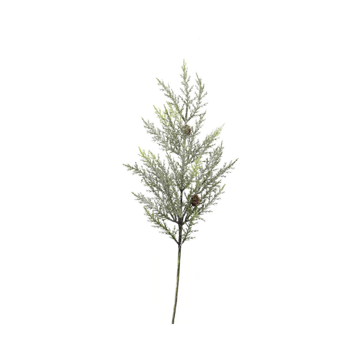 Tige de cèdre givrée vert givré 25"