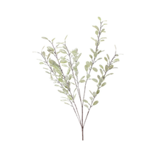 Tige de myrte glacé vert et mousse 34"