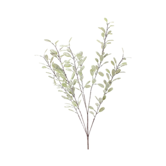 Tige de myrte glacé vert et mousse 34"