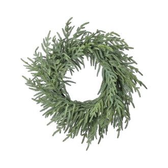 Couronne pin de Norfolk fraîchement coupée vert pâle 24"