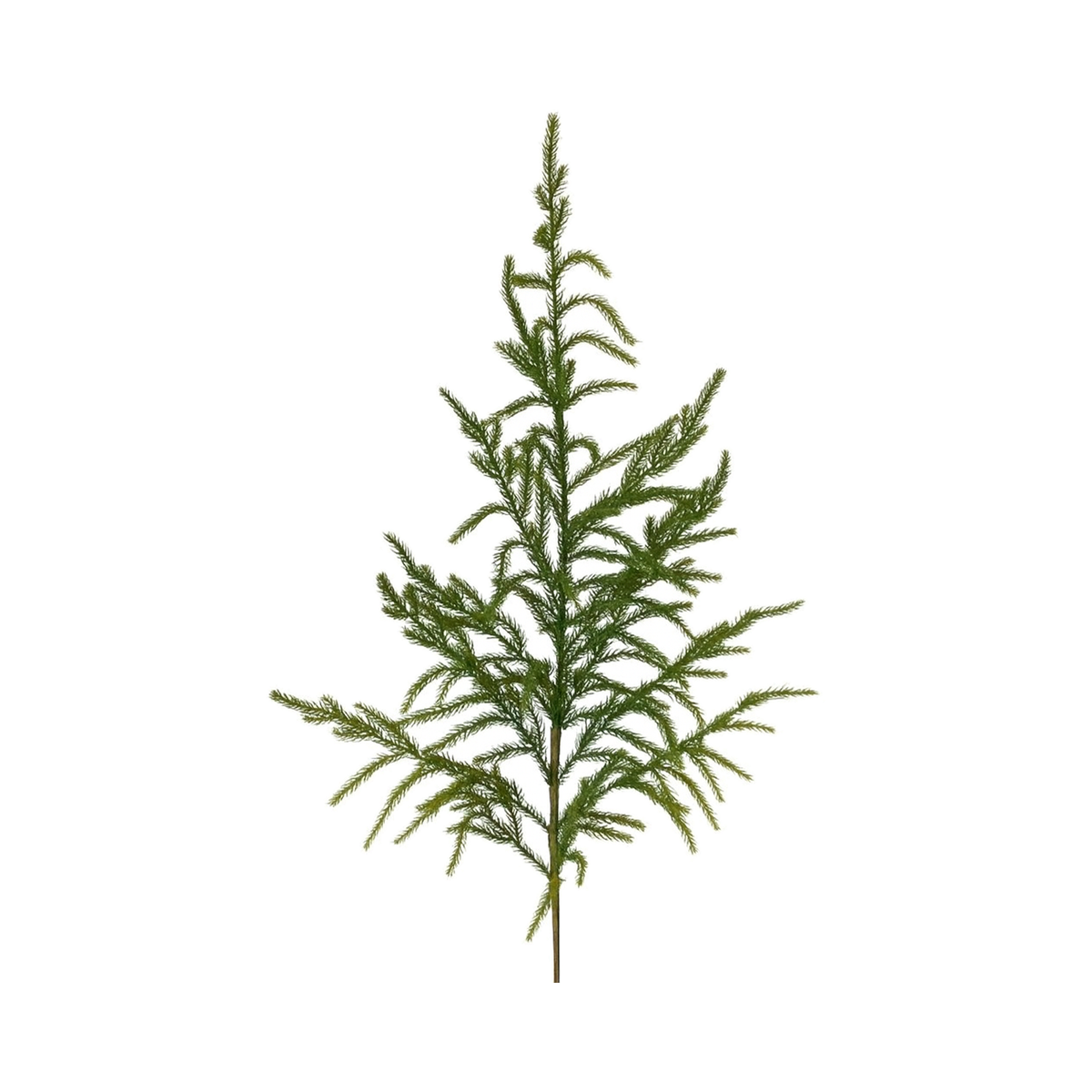 Tige de pin de Norfolk toucher naturel 38"