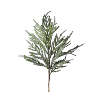 Branche de pin de Norfolk givré 30"