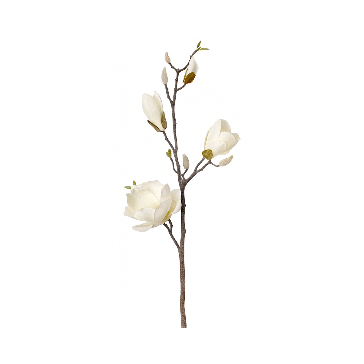 Tige de magnolia givrée 32"