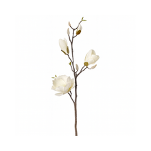 Tige de magnolia givrée 32"