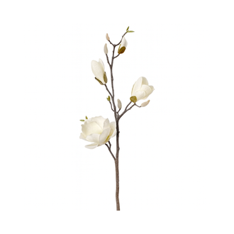 Tige de magnolia givrée 32"