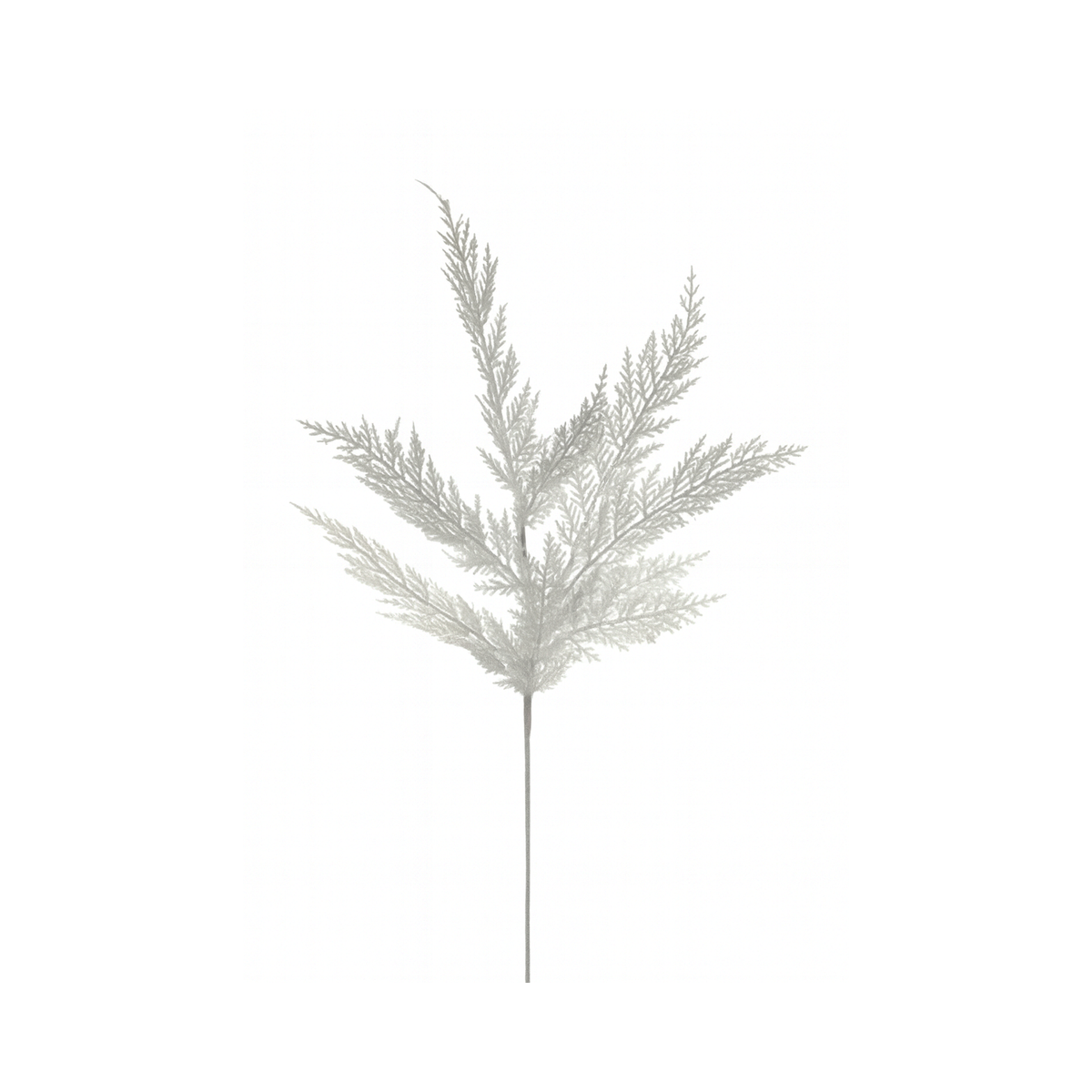 Tige de cèdre enneigé hiver 24"