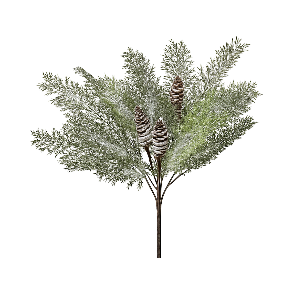 Tige d’acacia hivernale avec cône 19"