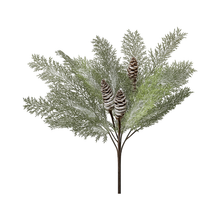 Tige d’acacia hivernale avec cône 19"