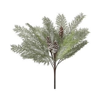 Tige d’acacia hivernale avec cône 19"