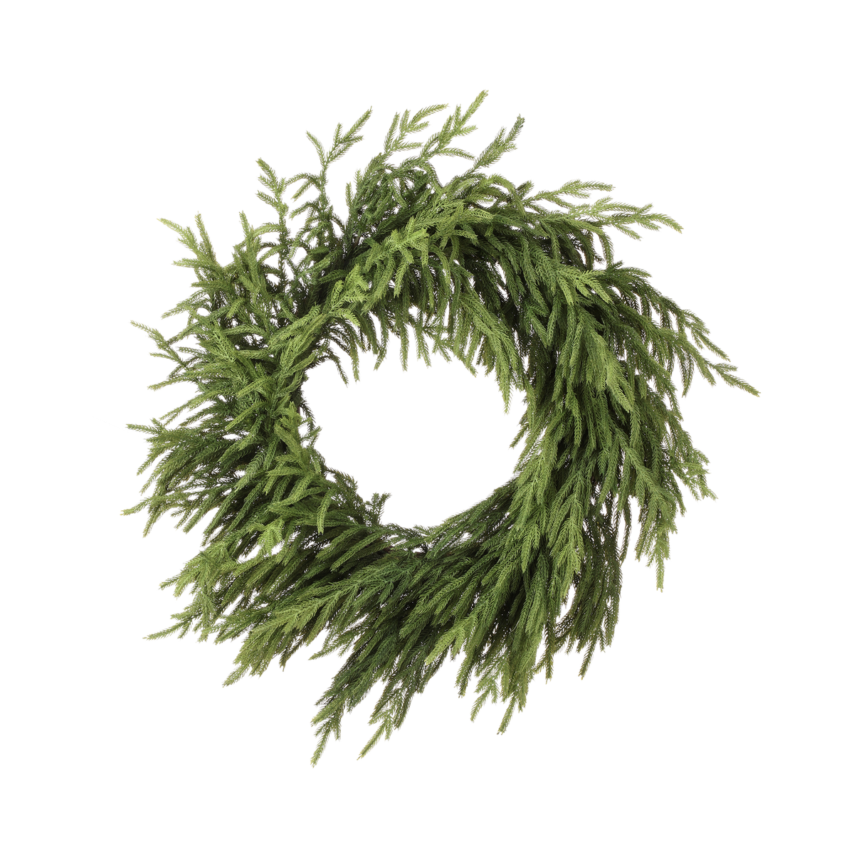 Couronne pin de Norfolk fraîchement coupée 30"