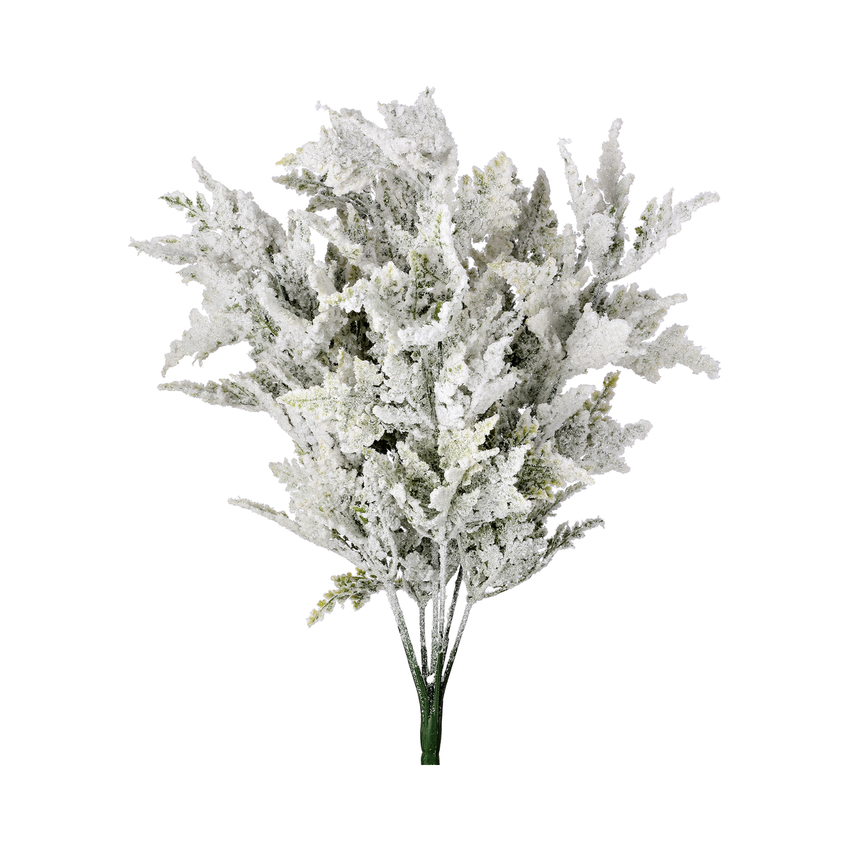 Buisson de cèdre enneigé givré 19"