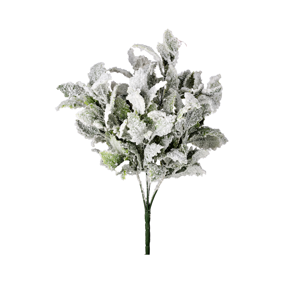 Buisson de houx enneigé givré 19"