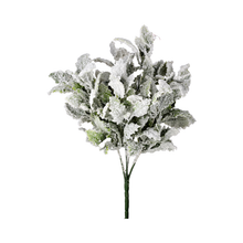 Buisson de houx enneigé givré 19"