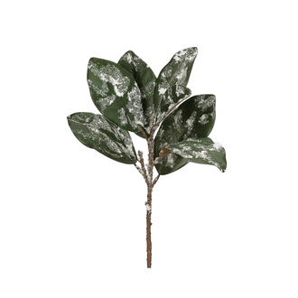 Tige de magnolia enneigé scintillant 20"