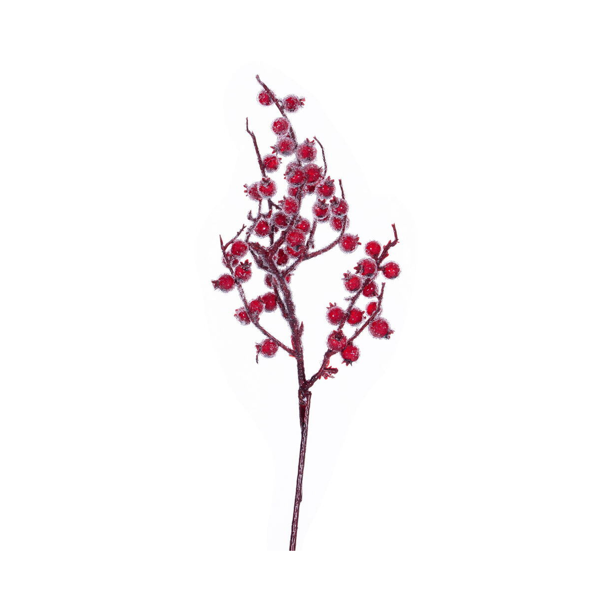 Tiges de baies rouges givrées 14"