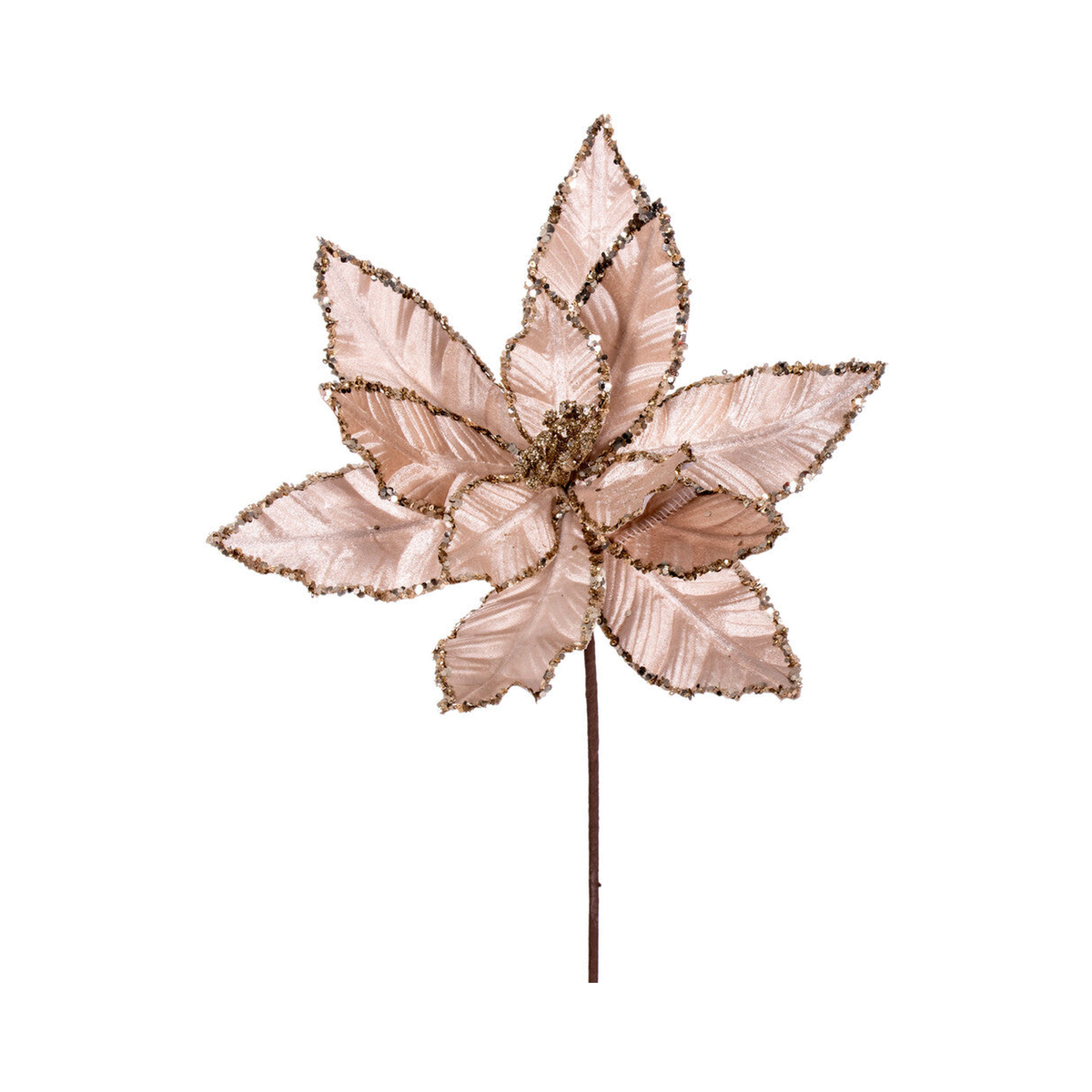 Tige de poinsettia velours champagne 24"