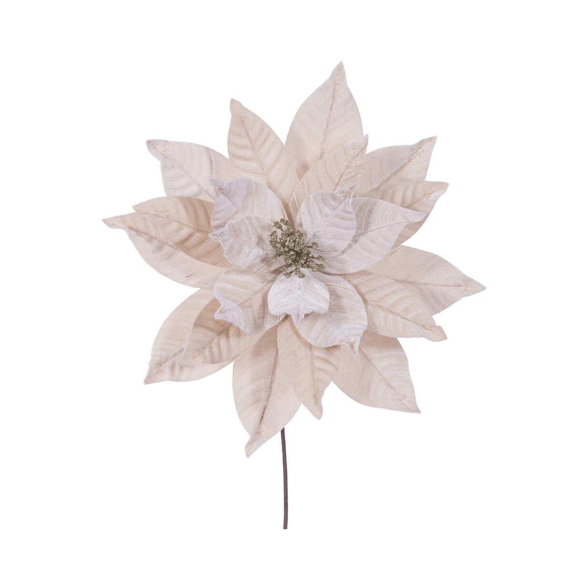 Tige de poinsettia champagne 21,5" fleur 12"