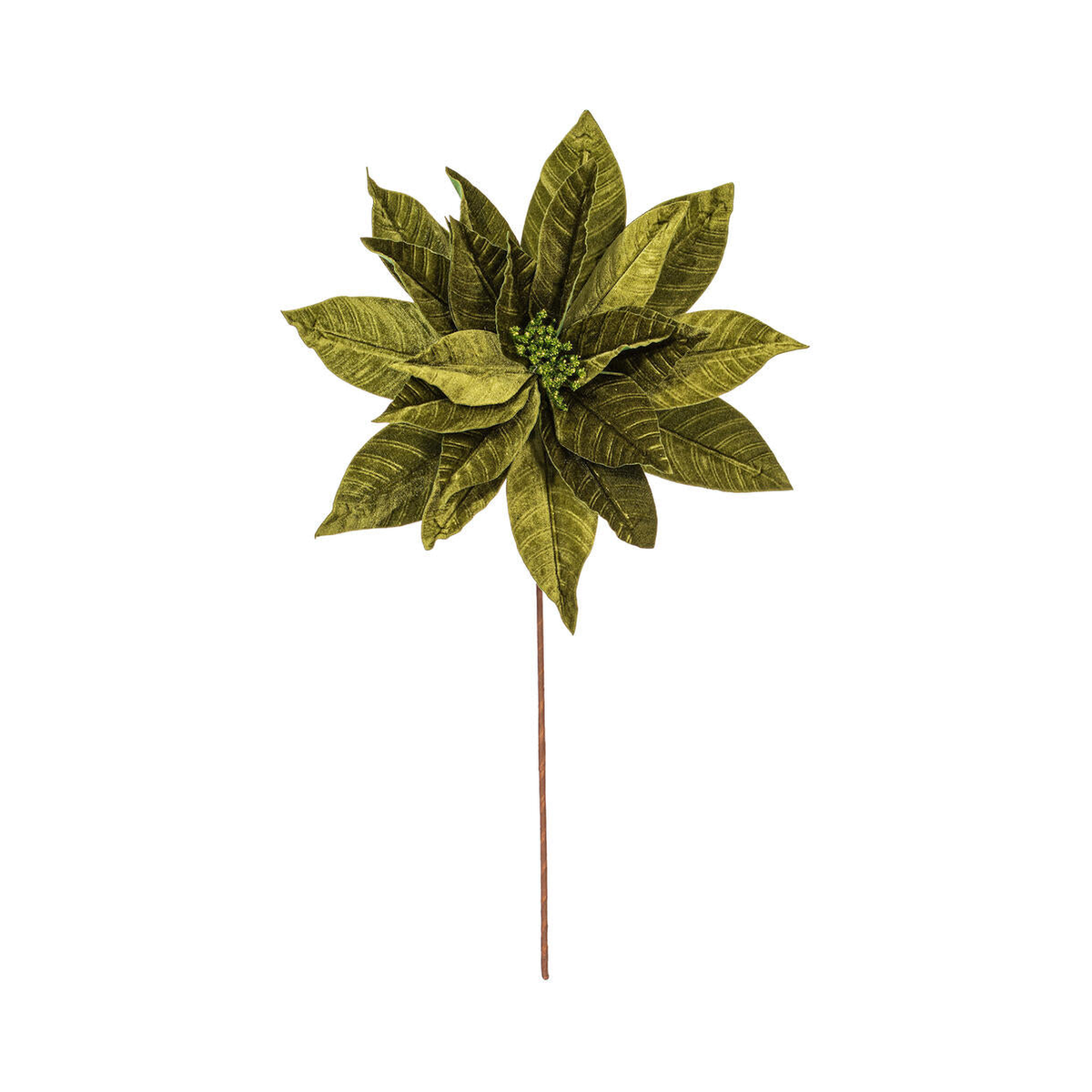 Tige de poinsettia vert lime 21,5" fleur 18"