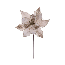 Tige de poinsettia velours champagne 20" fleur 10"