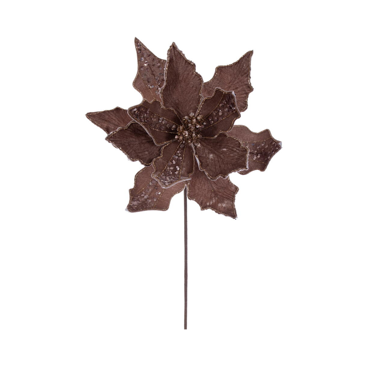 Tige de poinsettia mocha 20" fleur 10"