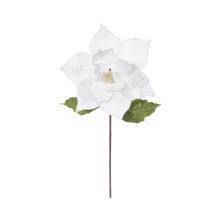 Tige de poinsettia velours crème 20" fleur 12"