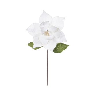 Tige de poinsettia velours crème 20" fleur 12"