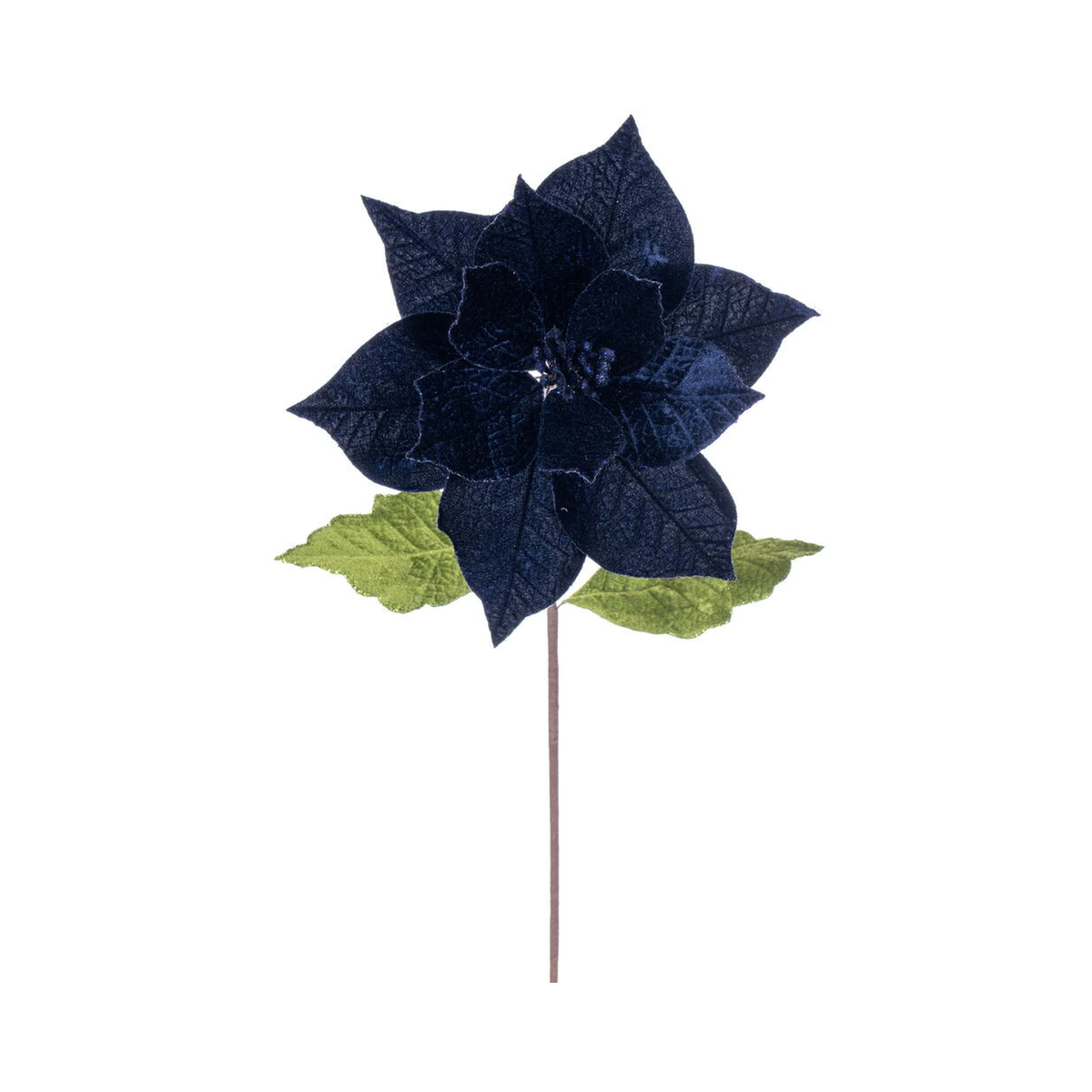 Tige de poinsettia bleu minuit 20" fleur 12"