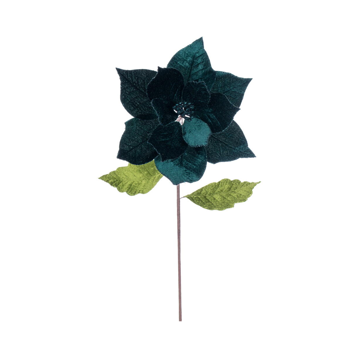 Tige de poinsettia vert minuit 20" fleur 12"