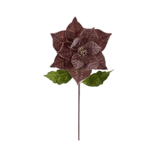 Tige de poinsettia mocha 20" fleur 12"