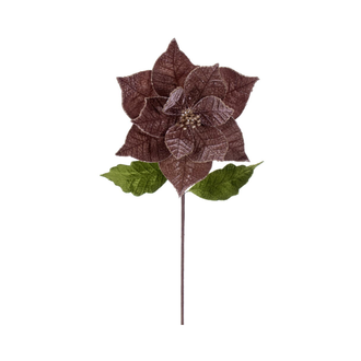 Tige de poinsettia mocha 20" fleur 12"