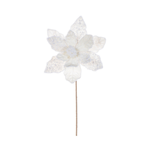 Tige de poinsettia 17" velours perle fleur 11"