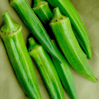 Organic 'Dwarf Lee' Okra