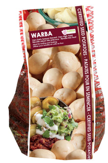 Pomme de terre ‘Warba’ ( Solanum tuberosum ) : un sachet vertical illustré de pommes de terre à peau claire. La présentation montre l’emballage avec une illustration du produit et son nom imprimé sur l’étiquette. Les informations sont regroupées sur la face visible, tandis que la photographie met en évidence le contenu ou la plante illustrée. Cette vue vous aide à reconnaître le produit présenté et son conditionnement.