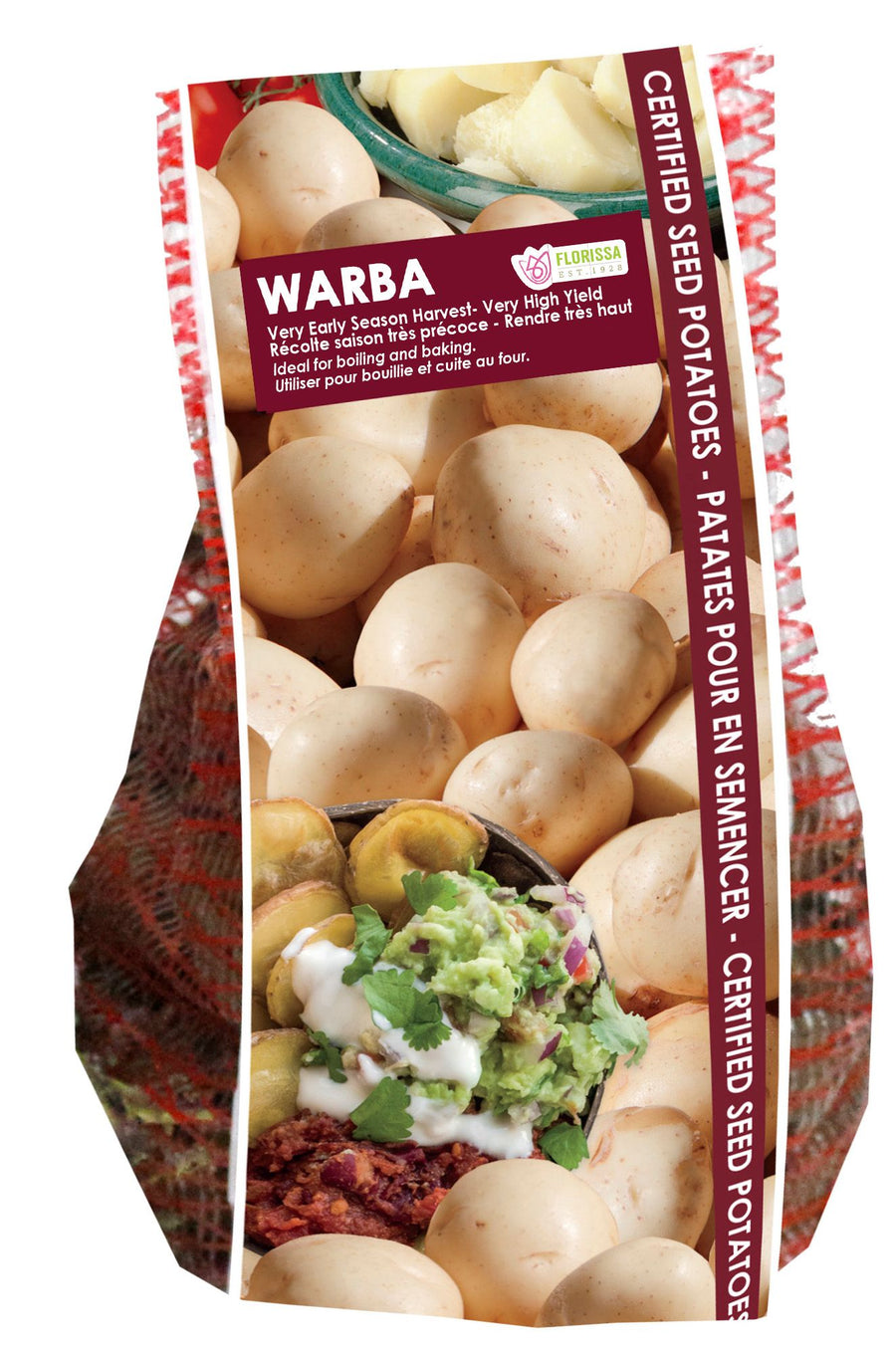 Pomme de terre 'Warba'