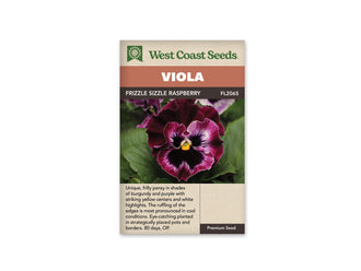 Sachet West Coast Seeds Frizzle Sizzle Raspberry montrant une pensée bordeaux et pourpre. Des zones blanches entourent les marques sombres près du petit centre jaune. Les pétales ont des bords ondulés, devant un feuillage vert. Le nom de la sélection est inscrit dans le bandeau brun, sous le titre blanc.