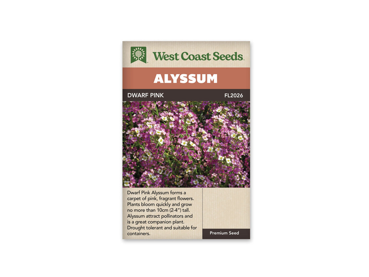 Sachet d’alysse Dwarf Pink de West Coast Seeds, présenté de face sur fond blanc. La photo centrale montre une masse de petites fleurs roses et mauves, avec des fleurs plus pâles et du feuillage vert. Le nom Dwarf Pink et le code FL2026 apparaissent sous le bandeau Alyssum. Les indications de l’emballage sont en anglais.