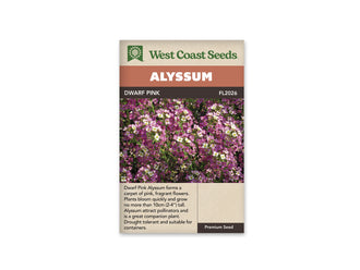 Sachet d’alysse Dwarf Pink de West Coast Seeds, présenté de face sur fond blanc. La photo centrale montre une masse de petites fleurs roses et mauves, avec des fleurs plus pâles et du feuillage vert. Le nom Dwarf Pink et le code FL2026 apparaissent sous le bandeau Alyssum. Les indications de l’emballage sont en anglais.