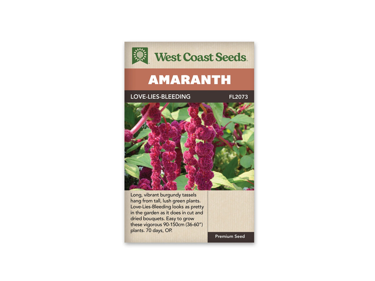 Sachet d’amarante Love-Lies-Bleeding de West Coast Seeds sur fond blanc. La photo montre de longs cordons floraux bordeaux, formés de groupes arrondis, qui pendent parmi des feuilles vertes et des tiges rosées. Le nom et le code FL2073 figurent sous le bandeau Amaranth. Les renseignements du bas de l’emballage sont en anglais.