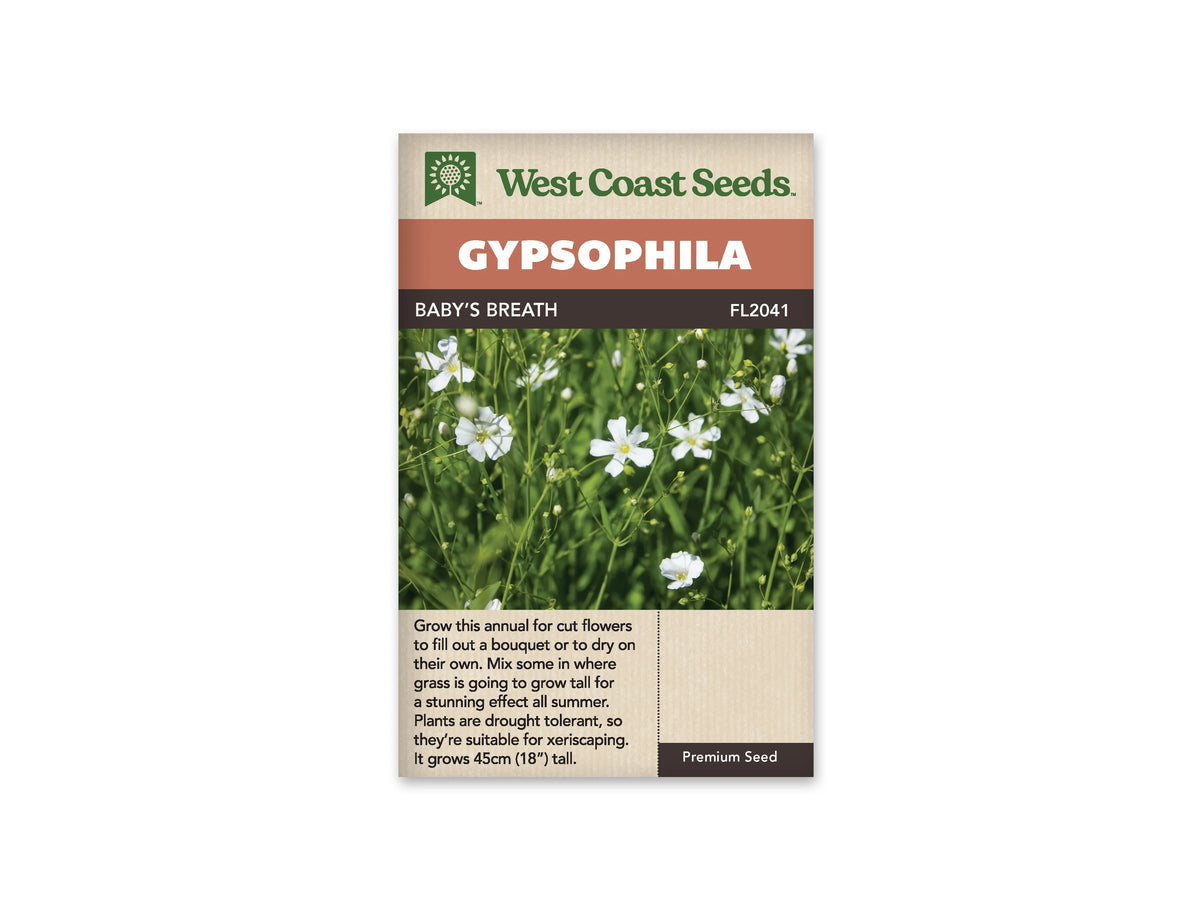 Sachet Baby’s Breath de West Coast Seeds sur fond blanc. La photo montre de petites fleurs blanches simples à cinq pétales et centre jaune pâle, réparties sur des tiges vertes très fines. De nombreux boutons verts sont visibles entre les fleurs. Le bandeau orange indique Gypsophila; la bande brune porte Baby’s Breath et le code FL2041.