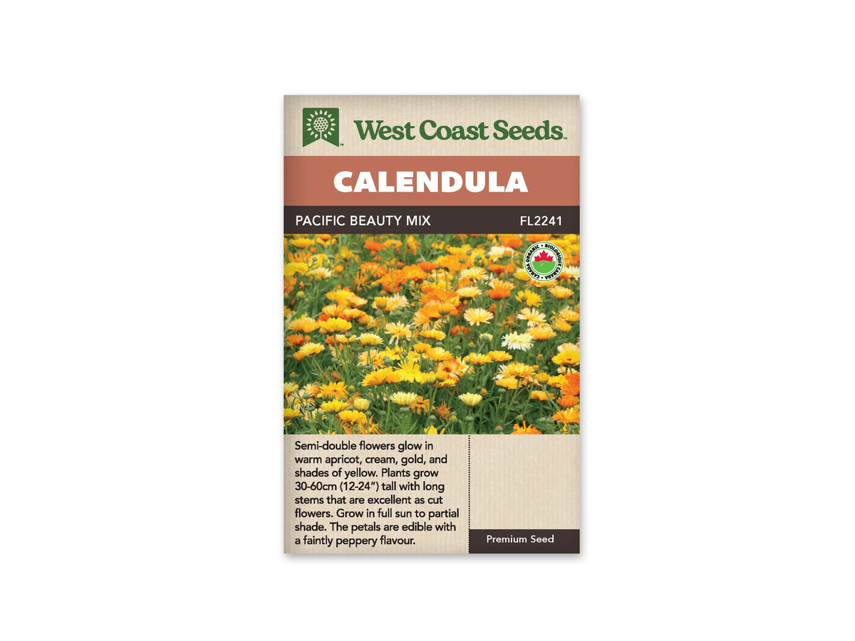 Sachet Pacific Beauty Mix de West Coast Seeds sur fond blanc. La photo présente un massif de soucis jaunes, orange et crème, avec de nombreuses tiges et feuilles vertes. Un sceau biologique canadien apparaît en haut à droite de la photo. Le bandeau indique Calendula et la référence FL2241 se lit près du nom du mélange.