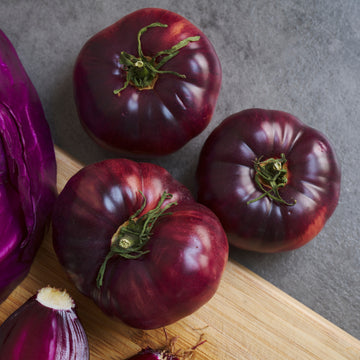 Tomate 'Persuasion'