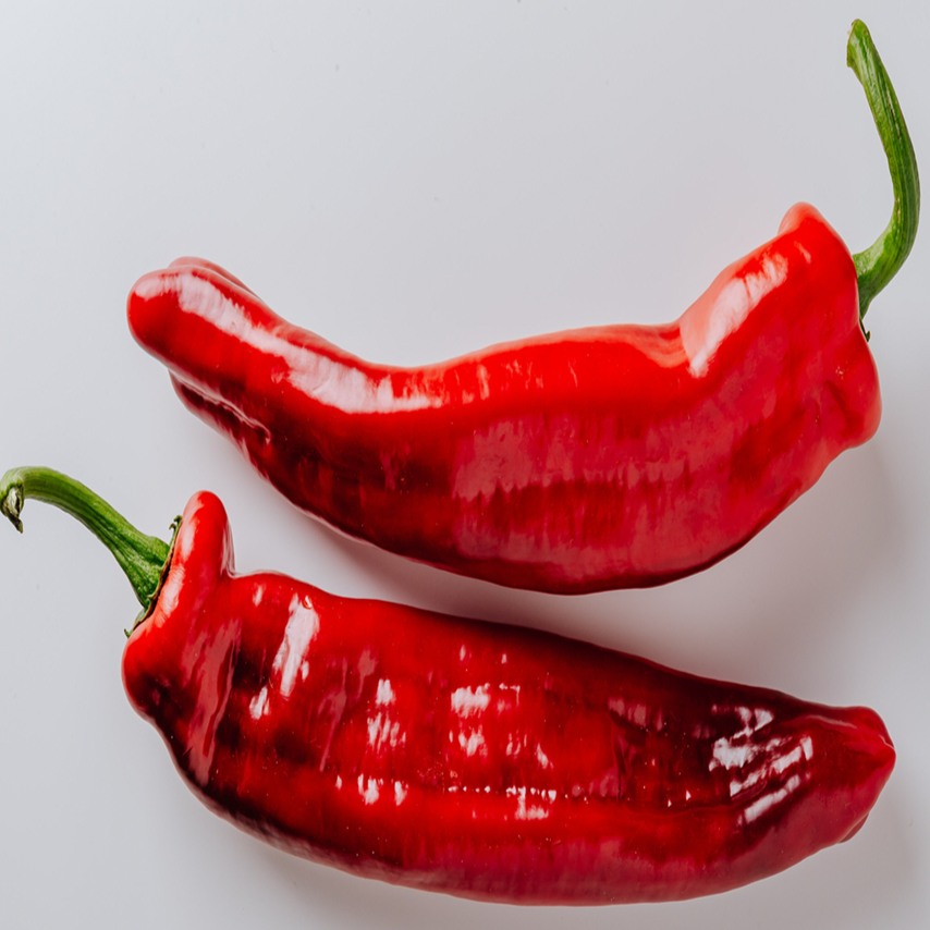 selection of approximately 25 organic ‘Aleppo’ hot pepper seeds showing a compact productive plant bearing elongated fruits ripening from green to glossy red among green foliage. The image helps identify this fruity, mildly sweet, moderately hot Capsicum annuum for warm gardens, greenhouses, and large containers in Canada. The pictured fruit is shown at full red maturity.